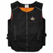 Picture of Ergodyne Chill-Its 6255 Black Large/XL Polyester Cooling Vest (Imagen del producto)