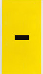 imagen de Brady 3470-DSH Etiqueta de puntuación - Perforar - Negro sobre amarillo - 5 pulg. x 9 pulg. - B-498