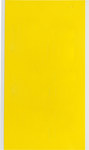 imagen de Brady 3470-BLANK Etiqueta de puntuación - Espacio - Amarillo - B-498