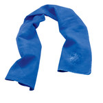 imagen de Ergodyne Chill-Its Cooling Towel 6602 12420 - Blue