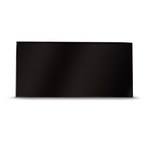 imagen de MSA Lente interior 10177647 - 11990