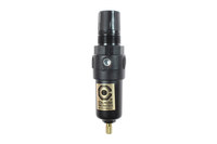 imagen de Coilhose Miniatura Integral Filtro/regulador MFC2-M - Metal - 77238