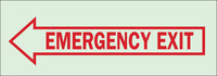 imagen de Brady Bradyglo B-324 Poliéster Rectángulo Cartel de salida de emergencia Verde - 14 pulg. Ancho x 5 pulg. Altura - Brillo en la oscuridad - 80212