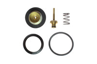 imagen de Coilhose 27 Series Kit de reparación del regulador 27RK01 - 12965
