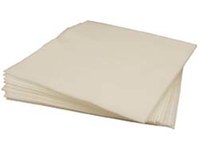 imagen de Techspray Techclean White Dry Polyester Dry Electronics Cleaning Wipe - 2355-100