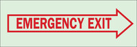 imagen de Brady Bradyglo B-347 Poliéster/poliestireno Rectángulo Cartel de salida de emergencia Verde - 14 pulg. Ancho x 5 pulg. Altura - Brillo en la oscuridad - 80276