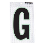imagen de Brady 3010-G Etiqueta en forma de letra - G - Negro sobre plateado - 2 1/2 pulg. x 3 1/2 pulg. - B-309