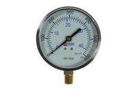 imagen de Coilhose Dial Calibre GB17600 - Cromado - 30375