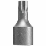 imagen de Vermont American 15750 Torx TX50 Toma - Acero de alta velocidad - accionamiento 3/8 pulg. Cuadrado - 57503