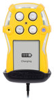 imagen de BW Technologies Accesorio de vehículo QT-VMB-1 - 1