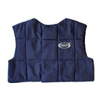 imagen de PIP E-Cooline Cooling Vest 390-10 390-1011 - Size Large - Blue - 31929