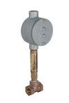 imagen de Bradley S19-319B2 Interruptor de flujo S19-319B2