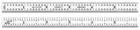 imagen de Starrett Acero semiflexible Broca escalonada de arranque automático - longitud de 24 pulg. - ancho de 1 pulg. - espesor de 1/50 pulg. - C303SR-24
