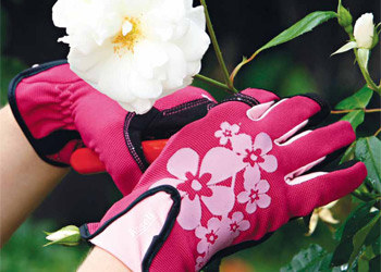 Ansell Projex inspire 97-981 Rosa Pequeño Spandex Guantes de trabajo - 076490-04893