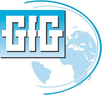 Imágen de GfG instrumentation Cable de conexión (Imagen principal del producto)