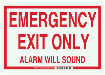 Imágen de Brady Bradyglo B-324 Poliéster Rectángulo Blanco Inglés Cartel de salida de emergencia 103616 (Imagen principal del producto)
