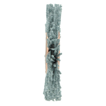 Weiler Nylox 17535 Cepillo de rueda - Rizado Nailon cerda