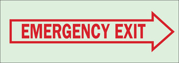Imágen de Brady Bradyglo B-347 Poliéster/poliestireno Rectángulo Verde Inglés Cartel de salida de emergencia 80275 (Imagen principal del producto)