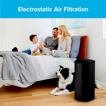 3M Filtrete Premium Allergen, Bacteria & Virus True HEPA 13 pulg. x 8.2 pulg. FAPF-F2N-4 Verdadero HEPA Filtro purificador de aire para habitaciones - 28106