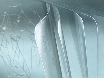 Imagen de 3M 1004 Película protectora multicapa Transparente 81106 (Imagen principal del producto)