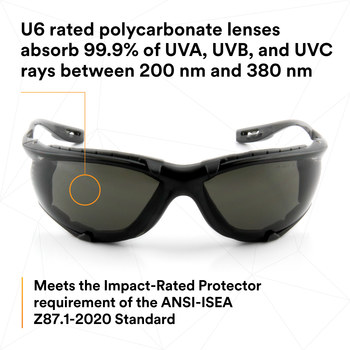 3M Virtua Standard Safety Glasses CCS 11873