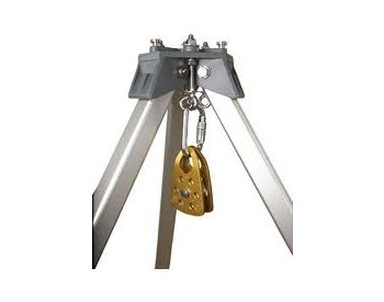 Imágen de Protecta Dorado Polea (Imagen principal del producto)