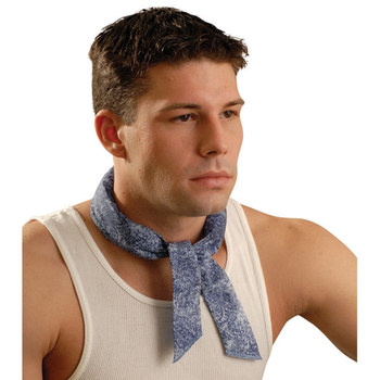 Imágen de Occunomix Miracool Denim azul Algodón Pañuelo (Imagen principal del producto)