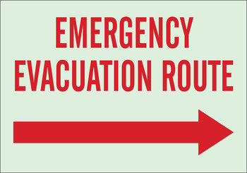 Imágen de Brady Bradyglo B-347 Poliéster/poliestireno Rectángulo Verde Inglés Cartel de ruta de evacuación 90634 (Imagen principal del producto)