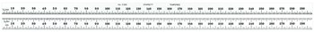 Imágen de Regla de acero totalmente flexible C330-300 W/SLC de Acero totalmente flexible 300mm por de Starrett (Imagen principal del producto)